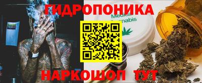 индика Кунгур