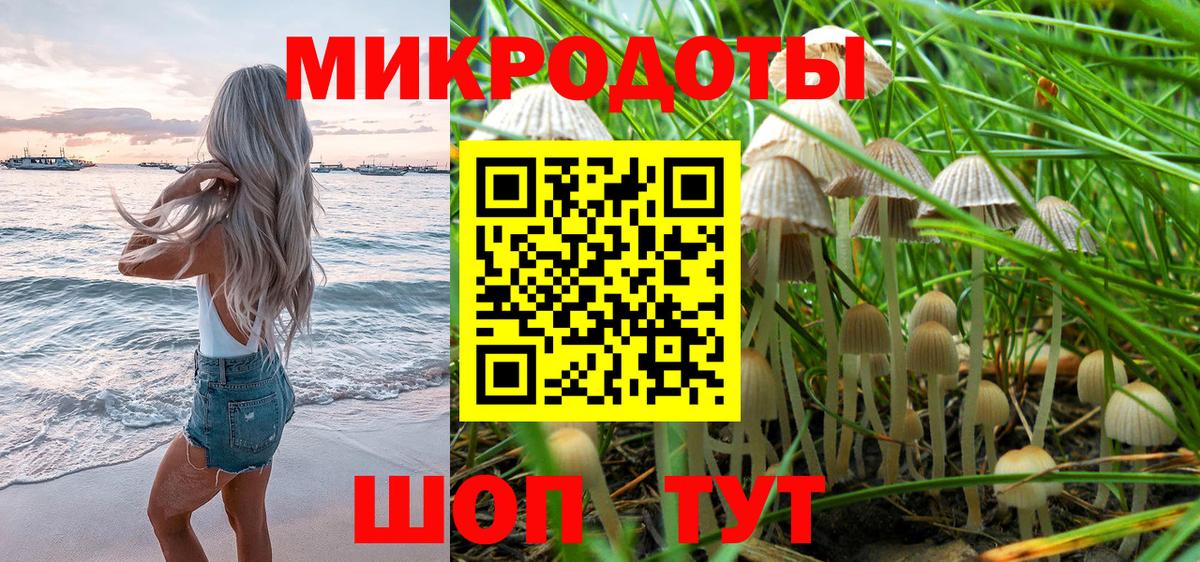 Киселёвск  Галлюциногенные грибы прущие грибы  Вход с VPN 