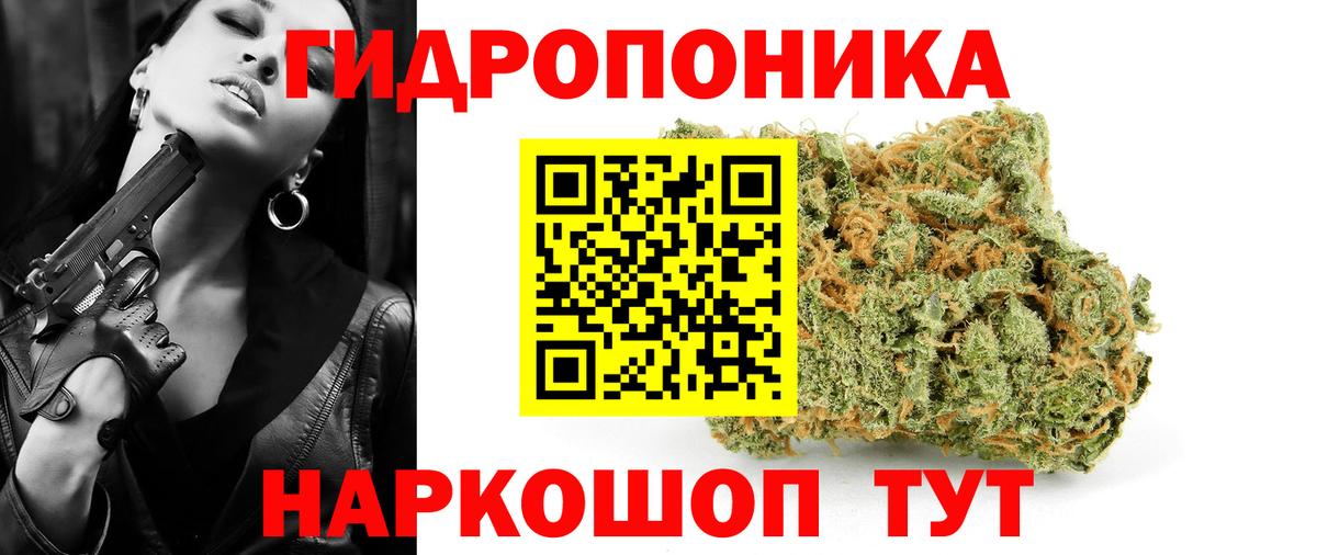 Киселёвск  Конопля White Widow  МАРИХУАНА AK-47  Вход с VPN 